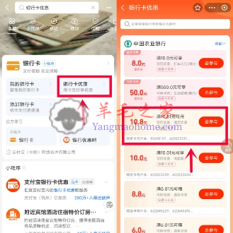 农业银行开湖南岳阳三类电子卡 支付宝领10.8元红包 亲测秒到